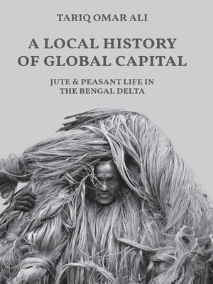cover image of A Local History of Global Capital